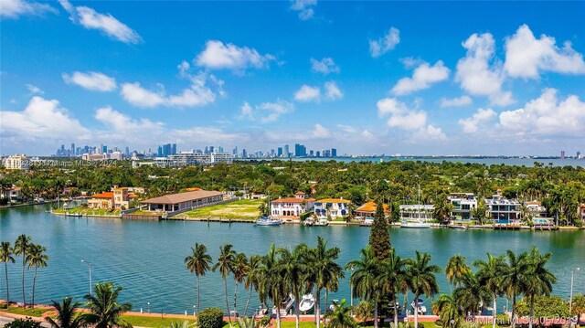 aerial view with a water view