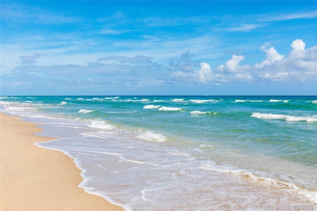 water view featuring a beach view