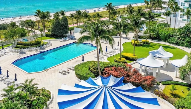 view of swimming pool with a patio area, a water view, and a beach view