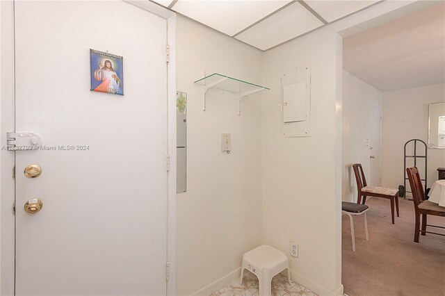 clothes washing area featuring electric panel and light colored carpet