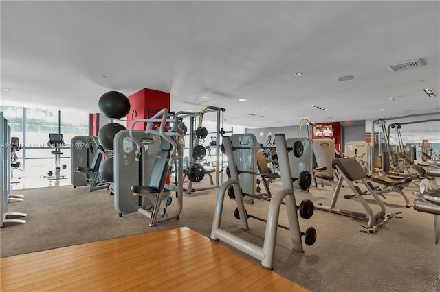 workout area featuring light hardwood / wood-style flooring and expansive windows