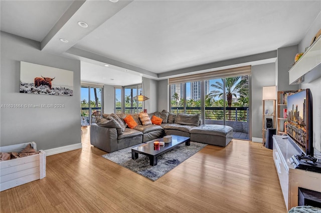 living room with light hardwood / wood-style flooring and a wealth of natural light