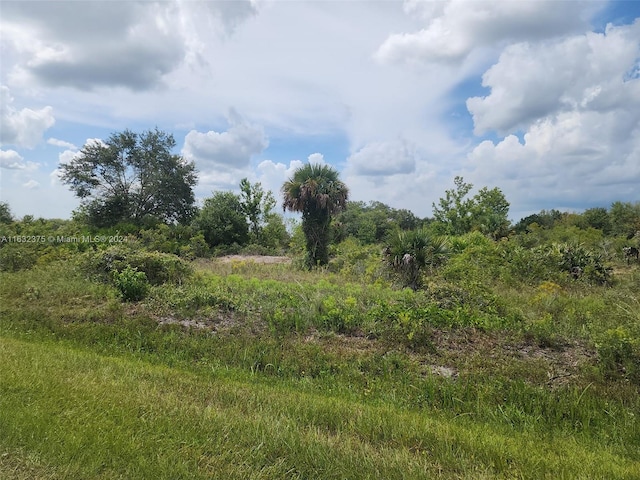 17823 NW 286, St FL, 34972 land for sale