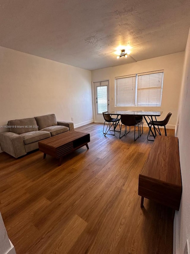 living room with hardwood / wood-style floors