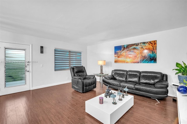 living room with wood-type flooring