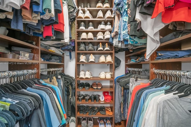 view of spacious closet