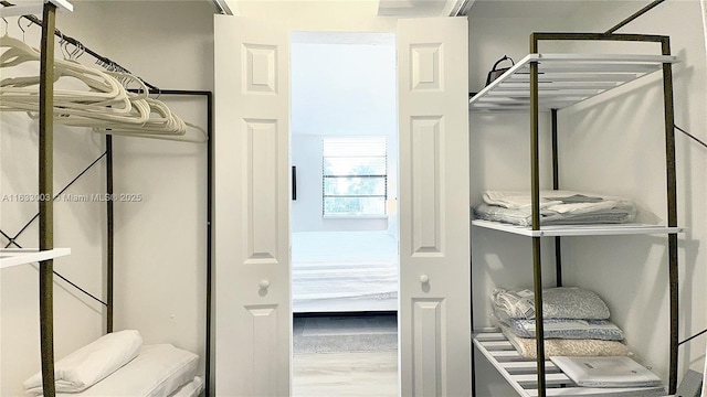 spacious closet with wood finished floors