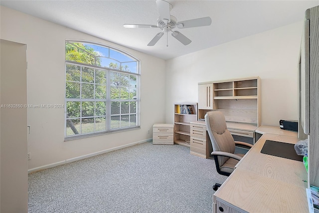 carpeted home office with ceiling fan and plenty of natural light