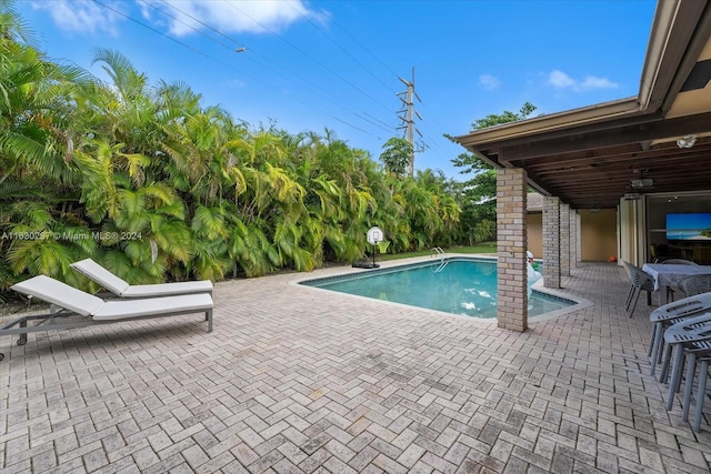 view of pool featuring a patio