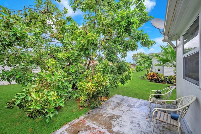 view of yard with a patio area