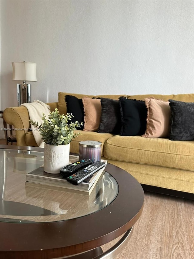 living room with hardwood / wood-style flooring