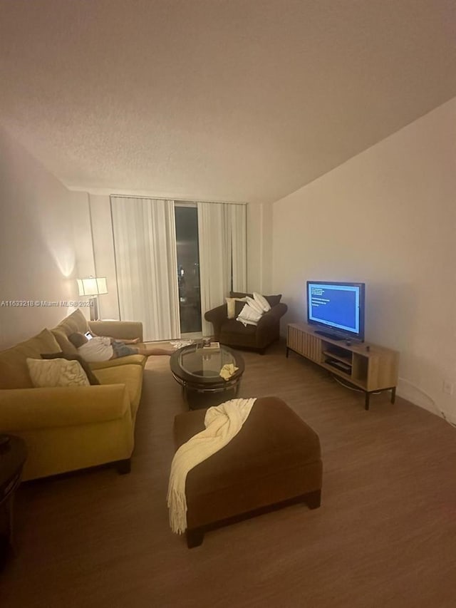 living room featuring hardwood / wood-style floors