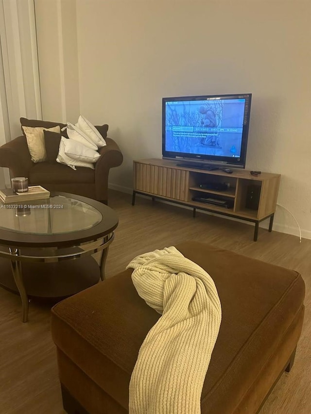 living room with dark wood-type flooring