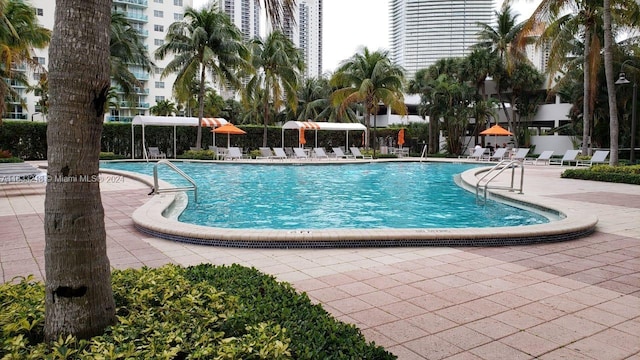 view of pool featuring a patio area