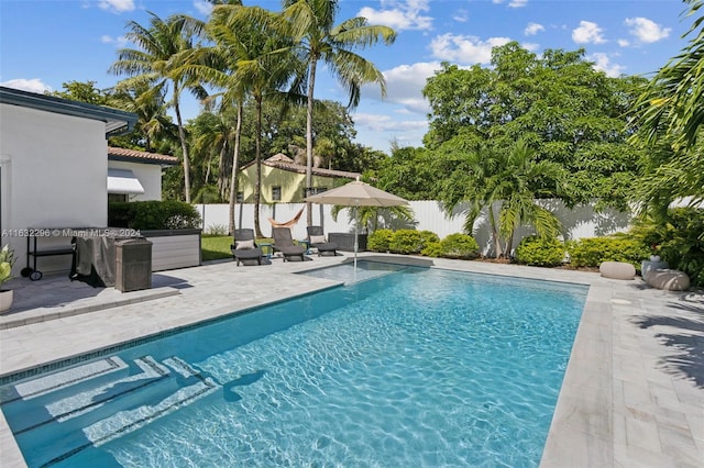 view of swimming pool featuring a patio area