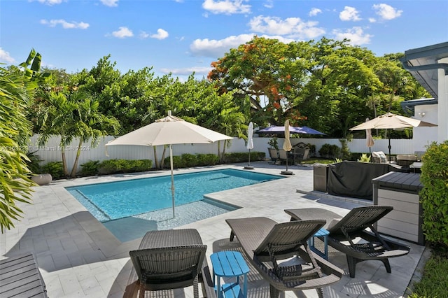 view of swimming pool featuring a patio area