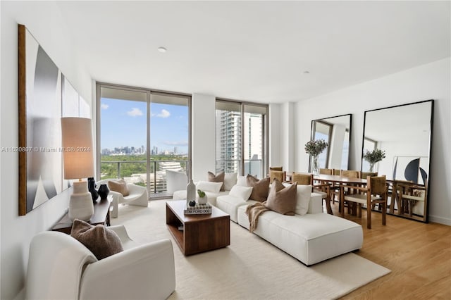 living room with expansive windows, light hardwood / wood-style floors, and a healthy amount of sunlight