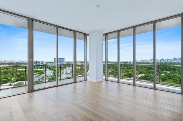 empty room with expansive windows, a healthy amount of sunlight, and light hardwood / wood-style flooring