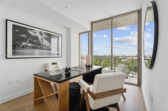 office with light wood-type flooring, a wealth of natural light, and floor to ceiling windows