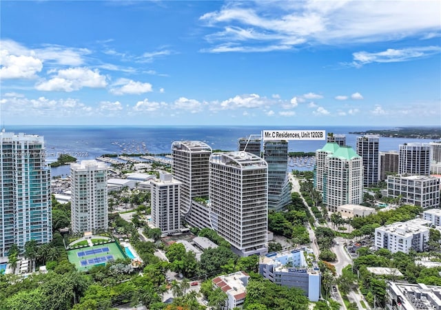 drone / aerial view with a water view