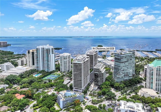 bird's eye view with a water view