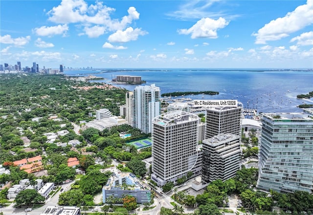 bird's eye view featuring a water view