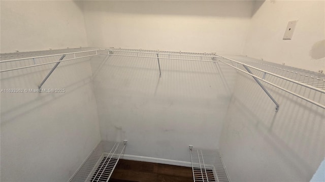 spacious closet with dark wood-type flooring