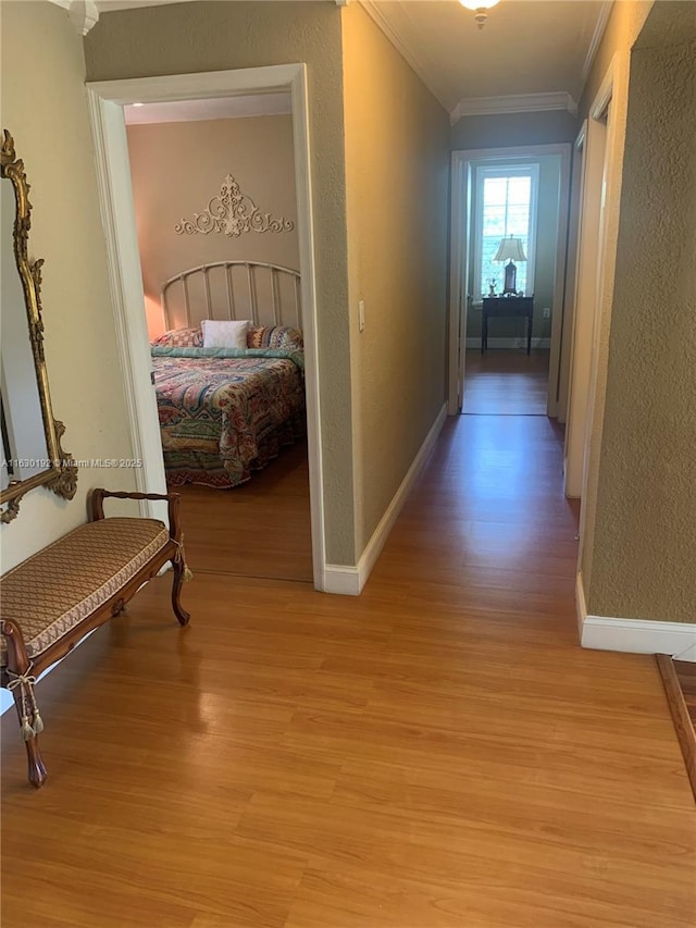 hallway featuring ornamental molding and light hardwood / wood-style flooring