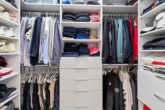 view of spacious closet