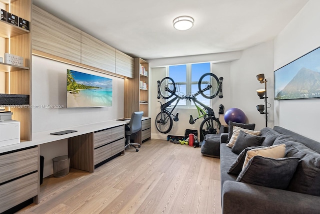 living room with light hardwood / wood-style floors