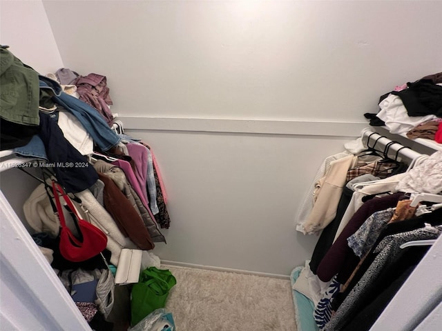 spacious closet featuring carpet floors