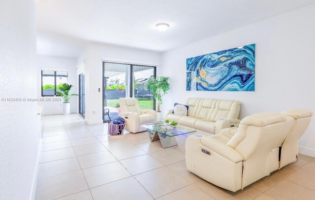 tiled living room featuring plenty of natural light