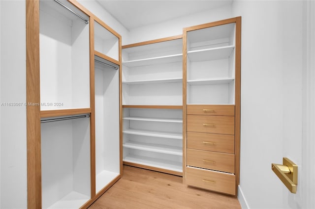 spacious closet featuring light wood-type flooring