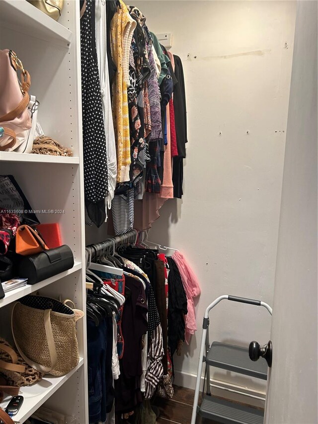 view of walk in closet