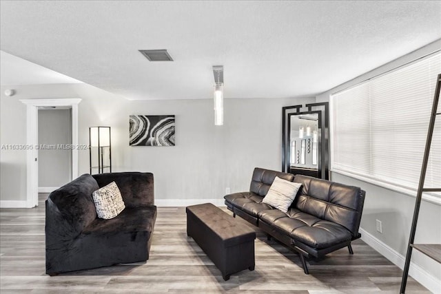 living room with a textured ceiling and hardwood / wood-style floors