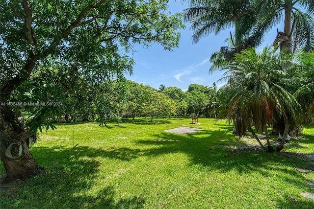216 SW 6th St, Hallandale Beach, FL 33009 - surrounding community featuring a lawn