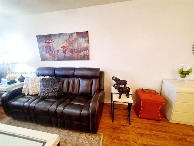 living room with wood-type flooring