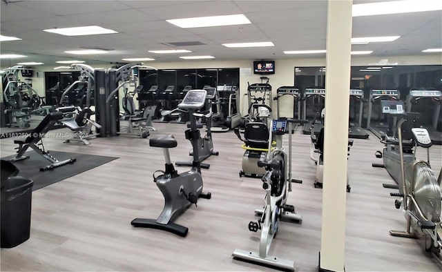 gym with a paneled ceiling and light hardwood / wood-style flooring