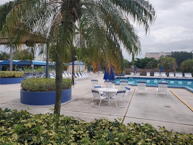 view of pool featuring a patio