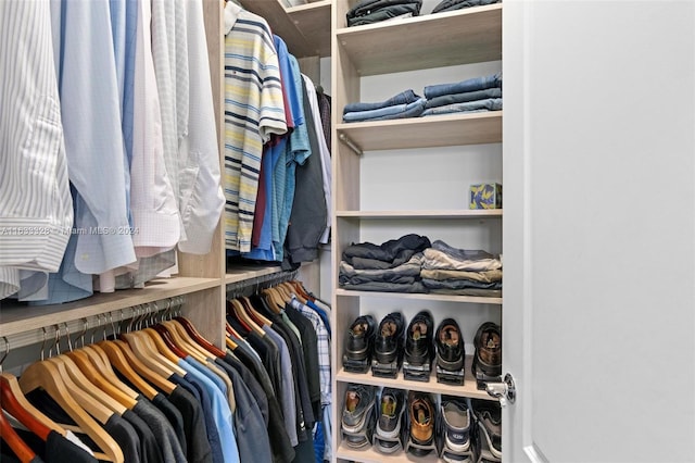 view of walk in closet