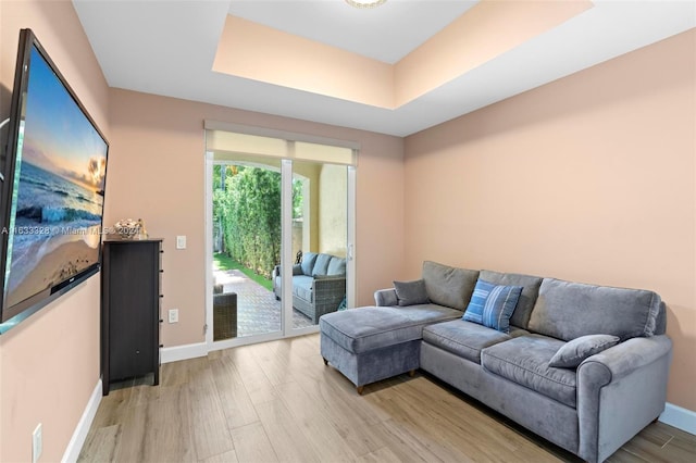 living room featuring hardwood / wood-style flooring and a raised ceiling