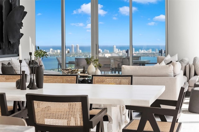 dining area with a city view, a water view, and a healthy amount of sunlight