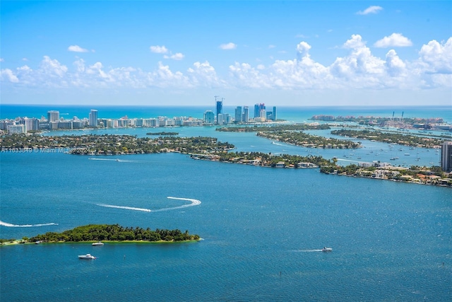 aerial view with a water view and a view of city