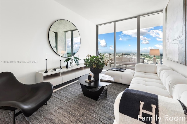 living room with a wall of windows