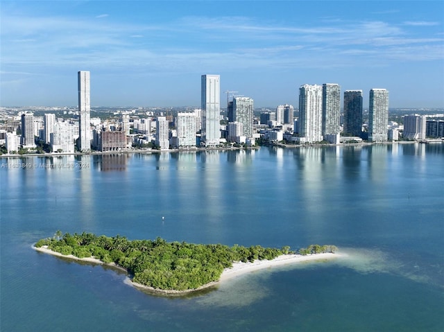 property view of water featuring a city view