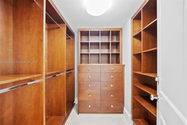 view of spacious closet