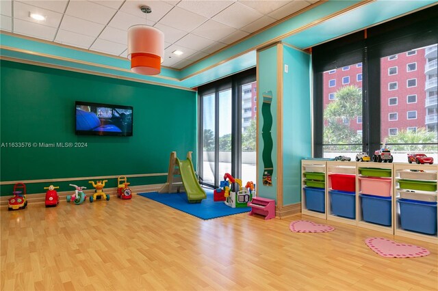 recreation room featuring a healthy amount of sunlight and wood-type flooring