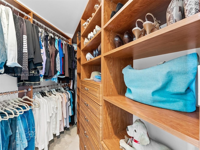 view of spacious closet