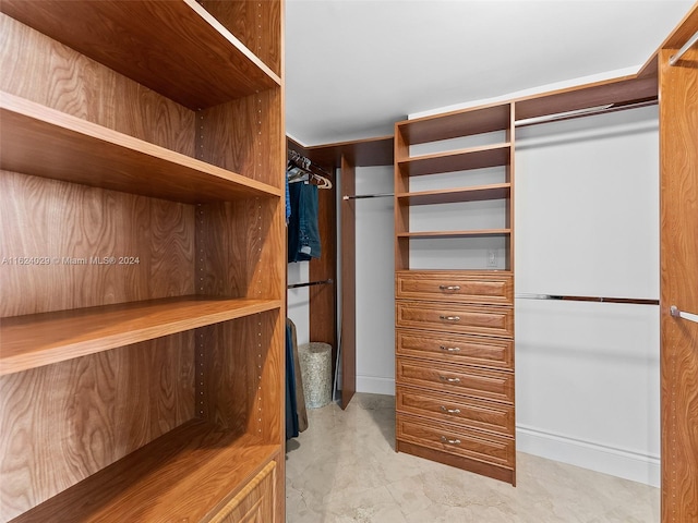 view of walk in closet