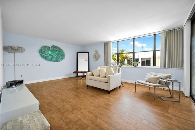 living room featuring wood-type flooring